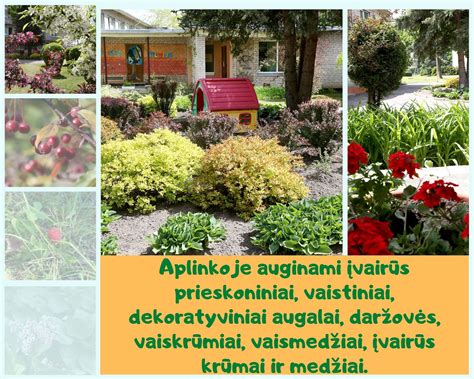 Vilniaus lopšelio-darželio 