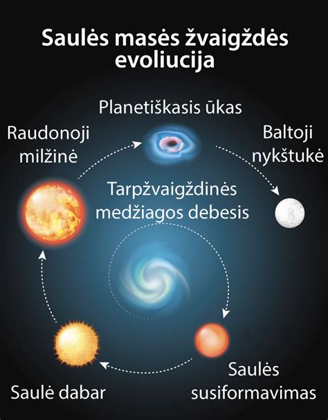 Aistės Mazutytės karjeros evoliucijos vizualizacija