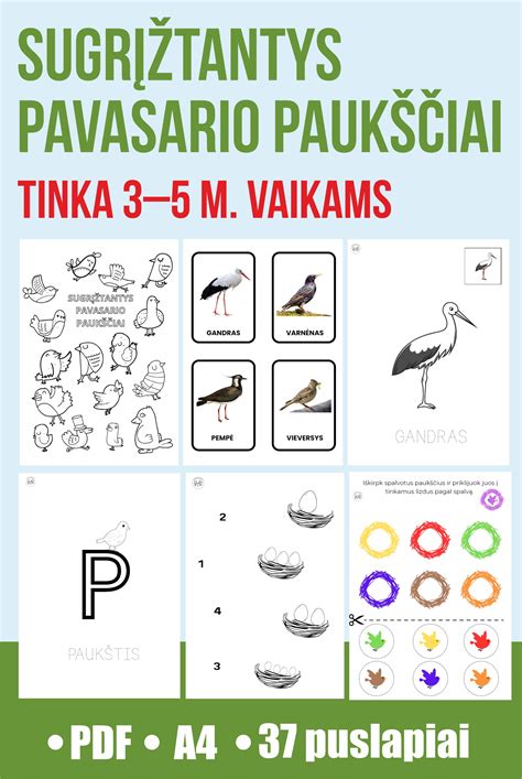 pavasario gamta ir sugrįžtantys paukščiai