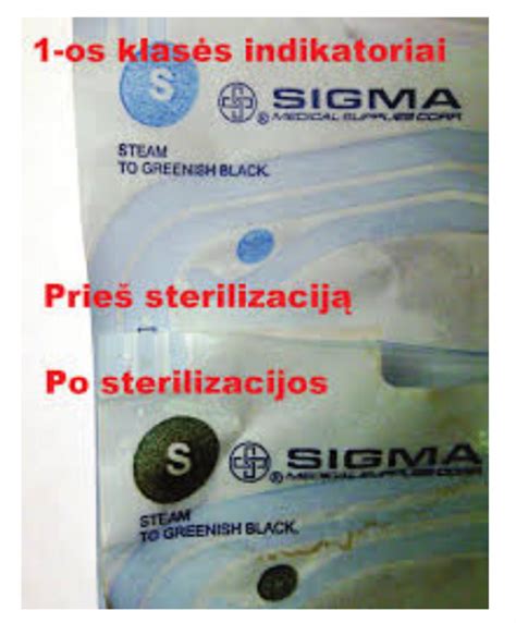 Sterilizacijos proceso schema naudojant garus