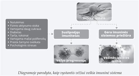 Simbolinis vaizdas, rodantis vėžio ląsteles ir hCG