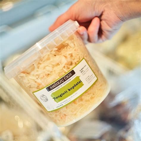 Įvairių fermentuotų maisto produktų, tokių kaip jogurtas, kefyras, rauginti kopūstai, iliustracija.