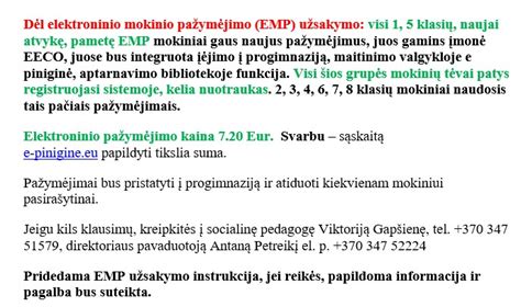 Elektroninio mokinio pažymėjimo pavyzdys