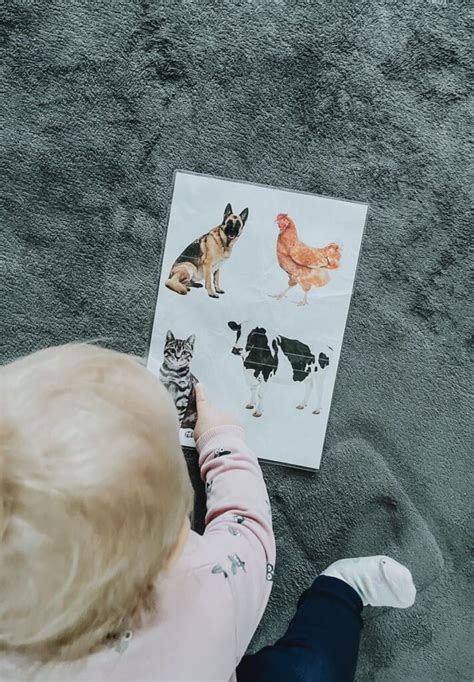 Madonos su Kūdikiu paveikslo pavyzdys