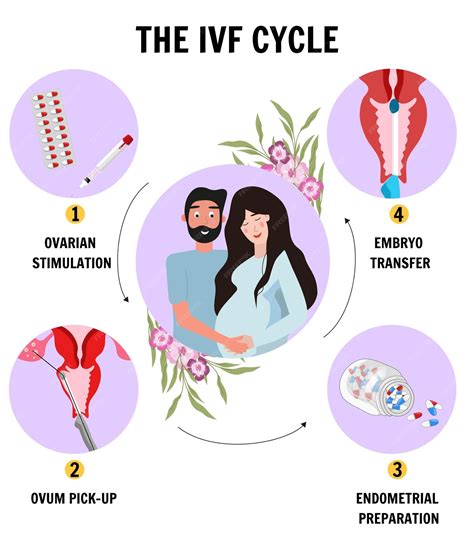 IVF apvaisinimo proceso eiga