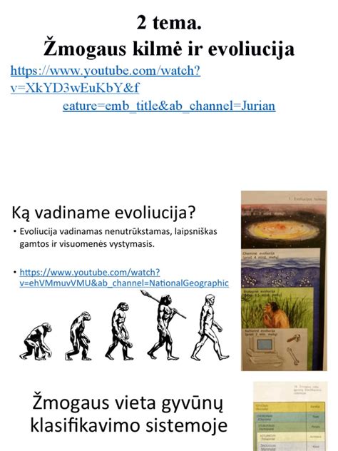 Tėčio vaidmens evoliucija grafikas