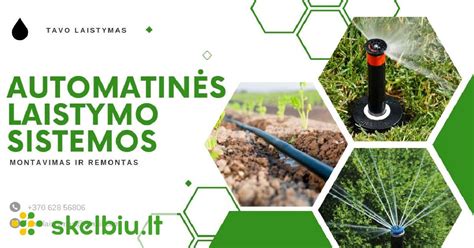 Automatinės laistymo sistemos schematinis vaizdas