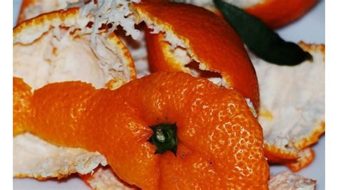 Citrusinių vaisių žievelės ir pipirmėtės