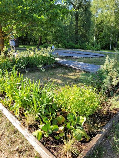 Mobilusis daržas Berlyne (Prinzessinnengärten)