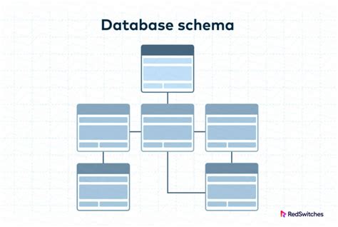 antspenio anatominė schema