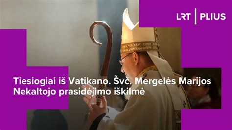 Švč. Mergelės Marijos Nekaltojo Prasidėjimo atvaizdas