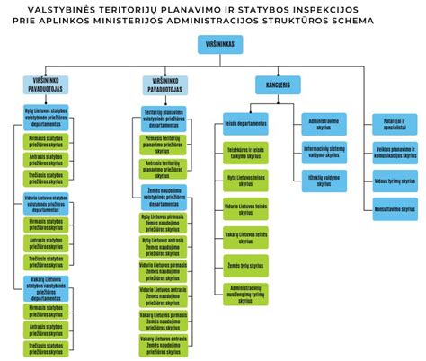 Projektų valdymo ir priežiūros schema