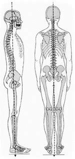 Vertikalios linijos testas laikysenai įvertinti