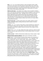 Nėščiosios sveikatos stebėjimas echoskopu