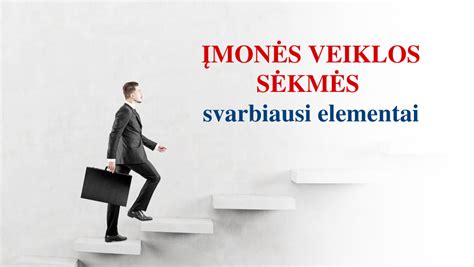 Įmonės veiklos sričių infografika