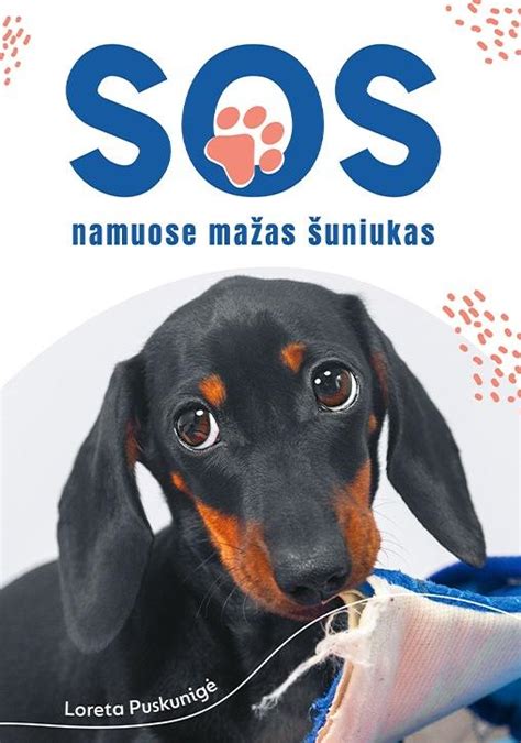 šuniukas besimokantis namuose su šeimininku