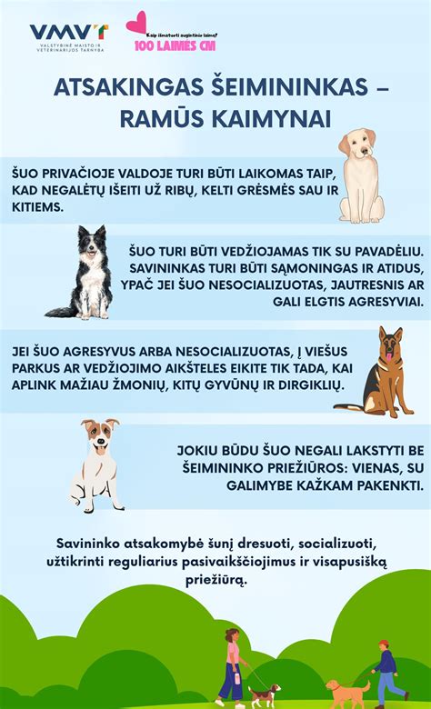 šeimininkas ir šuo treniruotės metu