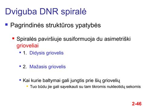 DNR struktūros ir giminystės ryšių schema