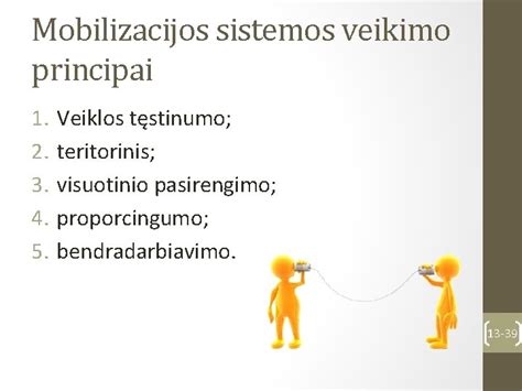 Intensyvios integracijos modelio veikimo principai