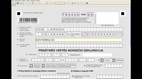Pavyzdys, kaip užpildyti elektroninę paraišką