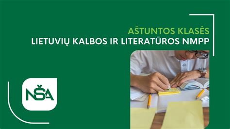 NMPP sistemos pavyzdys