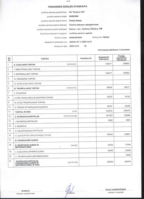 Finansinės veiklos ataskaita piktograma