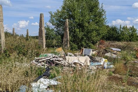 Vaikai sodinantys medelį arba valantys šiukšles gamtoje