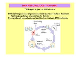 Animacija, iliustruojanti DNR replikaciją ir mutacijas