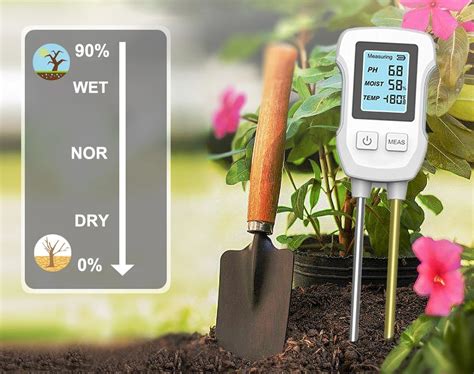 Dirvožemio pH skalė ir augalų poreikiai