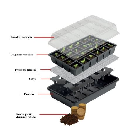 Daiginimo konteineriai ir sėklų sėjimas
