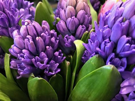 Pavasarinės gėlės iš popieriaus