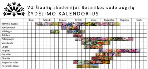 Sodo augalų kalendorius
