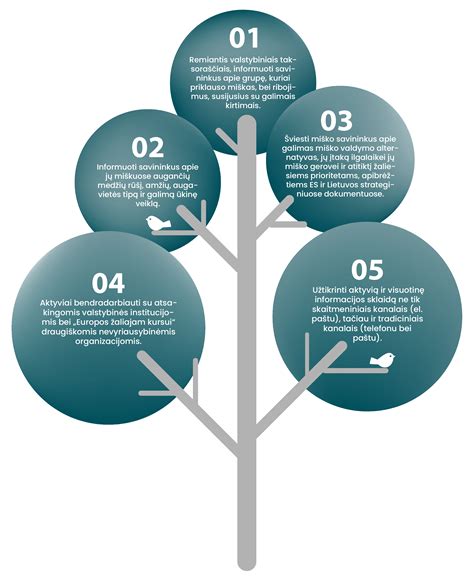 infografikas: perinatologijos centro veiklos kryptys