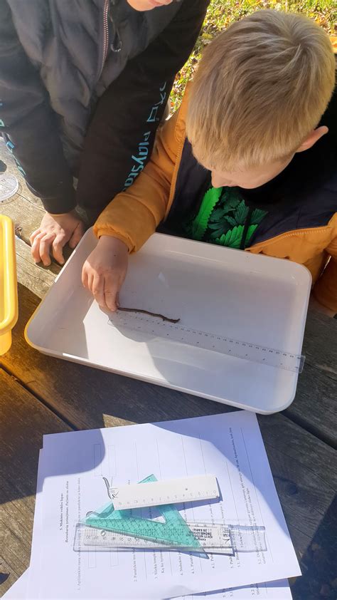 Slieko veiklos dirvožemyje iliustracija