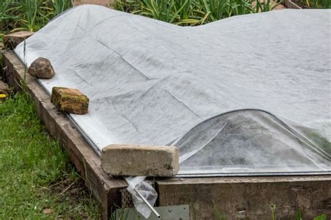 Augalų apsauga žiemai su agrotekstile ir karkasu