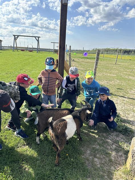 Gyvūnai Tuomų ūkyje