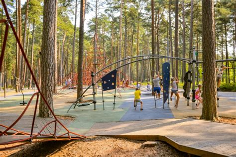 Dzintari miško parkas su vaikais