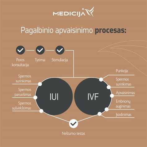 Intrauterininės inseminacijos procedūra