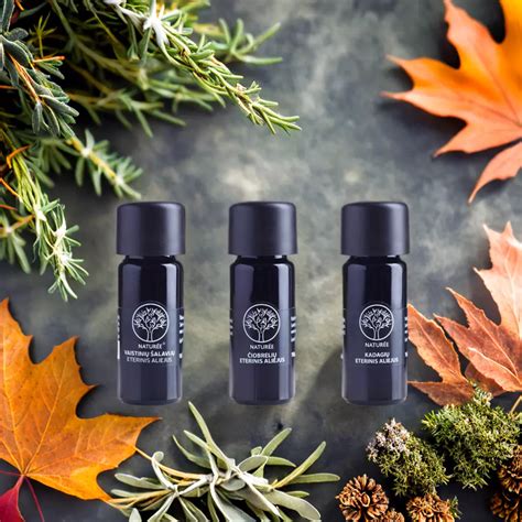 Eterinių aliejų naudojimas difuzoriuje vaikų kambaryje