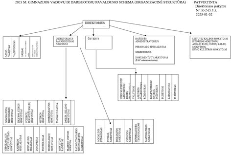 Schema rodanti skirtingas mokyklų pavaldumo struktūras