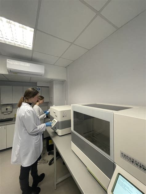 Priešimplantacinės genetinės diagnostikos schema