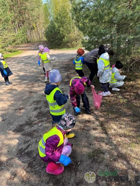 Miškas šalia darželio