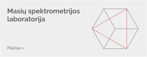 masių spektrometrijos principas