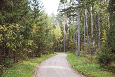 Miško krikštynų foto zona