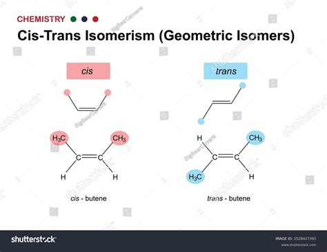 Cis-trans izomerijos pavyzdys