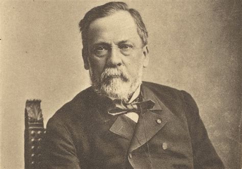 Louis Pasteur portretas