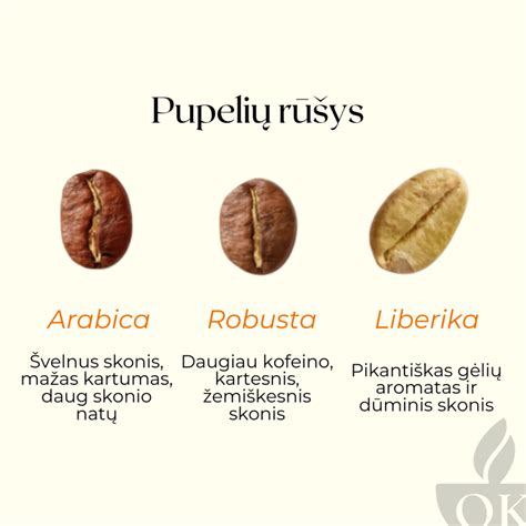 Infografika: Pupelių gydomosios savybės