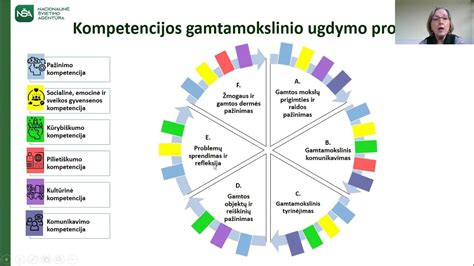 Infografika: 7 pagrindinės priešmokyklinio ugdymo kompetencijos