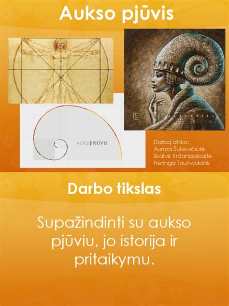 Aukso vidurio auklėjimo principas