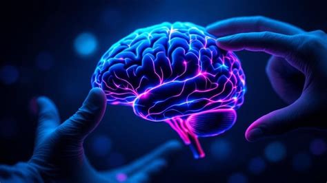 Smegenų neuronų veikla ir cheminės medžiagos